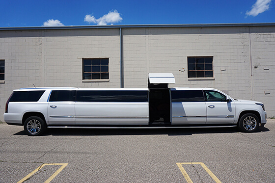 20-passenger limousine rental